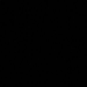 Meet your Posher, Ava